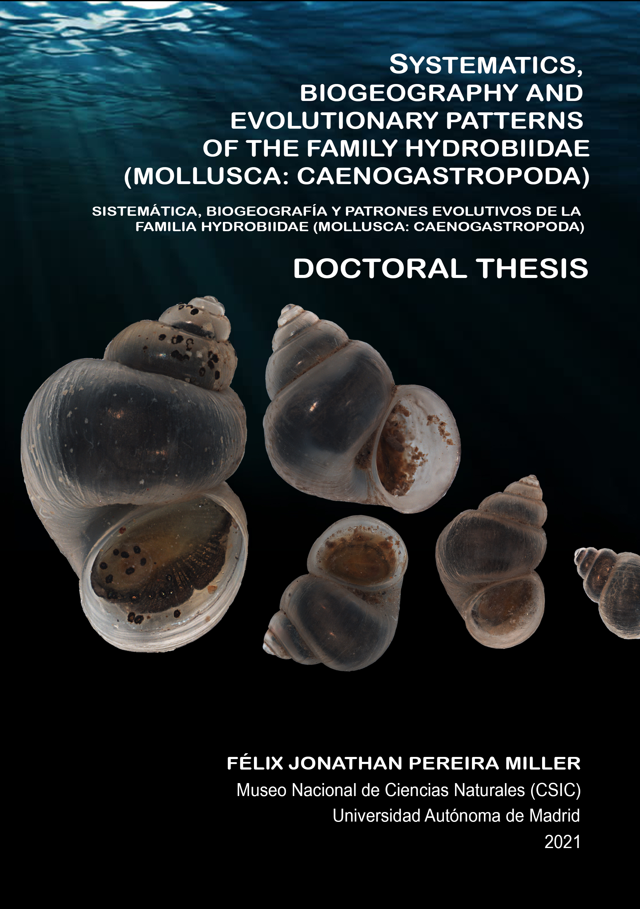 Systematics, biogeography and evolutionary patterns of the Hydrobiidae family (Mollusca: Caenogastropoda)